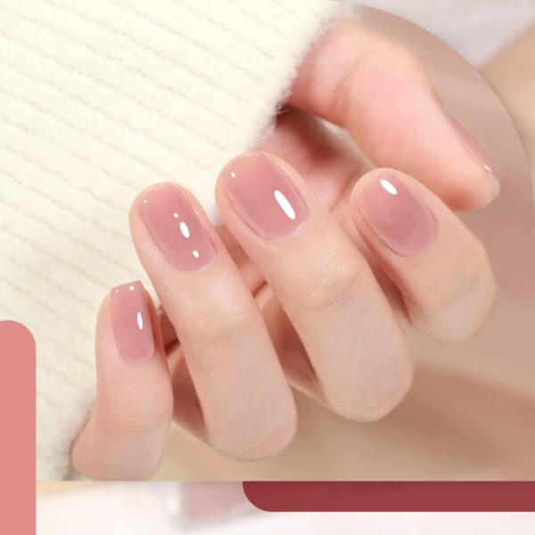 Jelly Nude Pink Brown Gel Nail Polish Set 6 Sheer Colors Kit