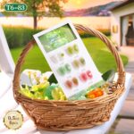 Jelly Gel Nail Polish Set 6 Pcs Mint Green Olive Soak Off